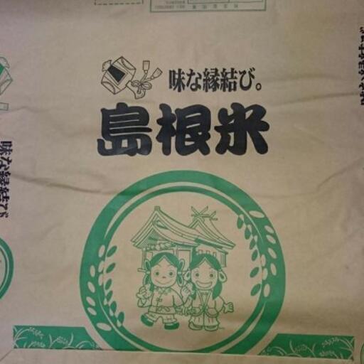 きぬむすめ 令和元年安来産 玄米30㌔