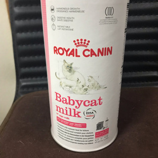子猫用ミルク 粉 ロイヤルカナン