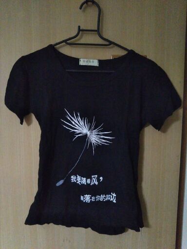 新品 Tシャツカップルコーデ中国語 ぽん 草加のtシャツの中古 古着あげます 譲ります ジモティーで不用品の処分