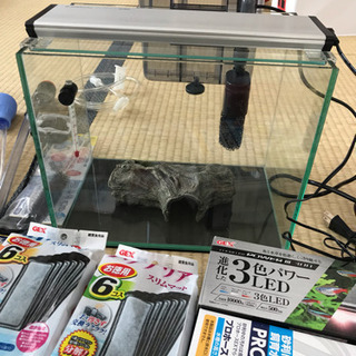 年末年始限定！メダカ等の小型室内魚飼育セット【水槽ほか】