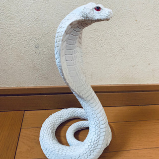 白い蛇の中古が安い 激安で譲ります 無料であげます ジモティー