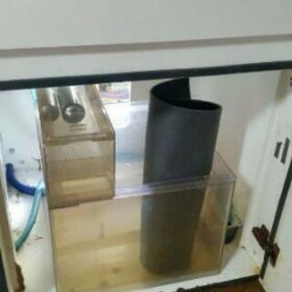 オルカ オーバーフロー水槽セット 60キューブ