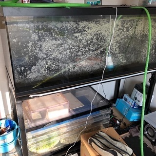 150×60 アクリルオーバーブロー水槽