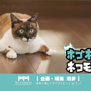■9/28 【ぷち散歩】猫と遊べる保護猫カフェ会【猫カメラ】