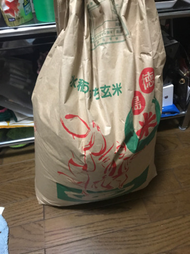 お米キヌヒカリ30キロ