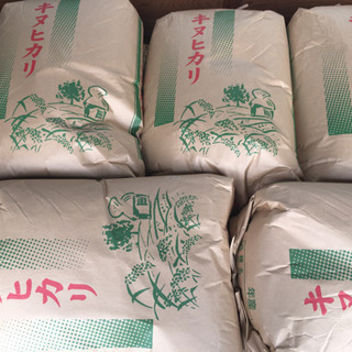 新米！ 令和4年産 採れたてキヌヒカリ（玄米）60kg（1俵）