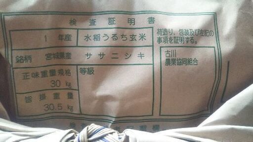 新米令和1年産ササニシキ玄米30Kg