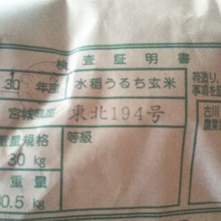 新米令和1年産東北194号(ササ結)(環境保全米)玄米30Kg