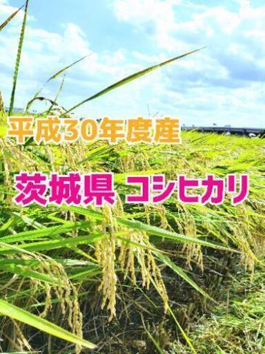 【限定3袋】平成30年度 茨城県産コシヒカリ 30kg