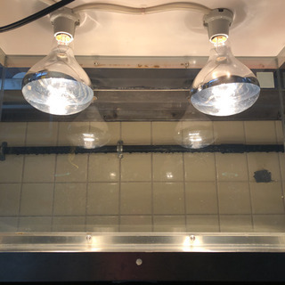 ホットショーケース 保温ショーケース コロッケ ポテト保温