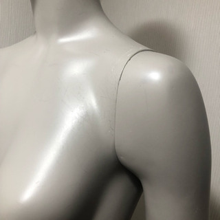 訳ありデジグアル トルソー