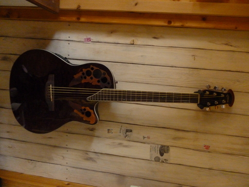 弦楽器、ギター Ovation Celibrity CE48P-TGE