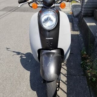 始末つ限定 blackbirdmotorcyclewear.com