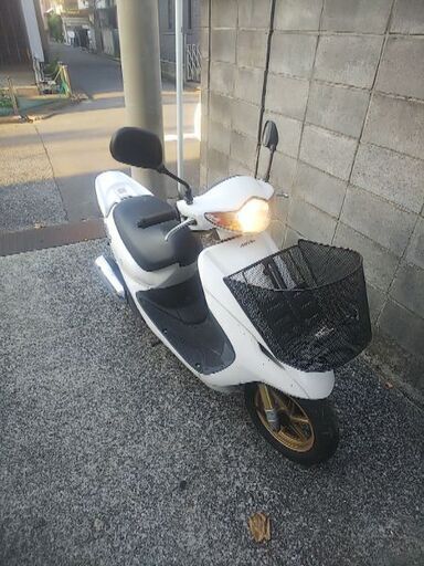 Dio Z4  AF63 白