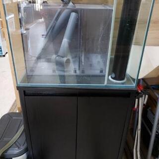 海水魚飼育！！　オーバーフロー水槽