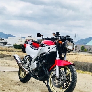 FZR250R 3LN1ネイキッド仕様