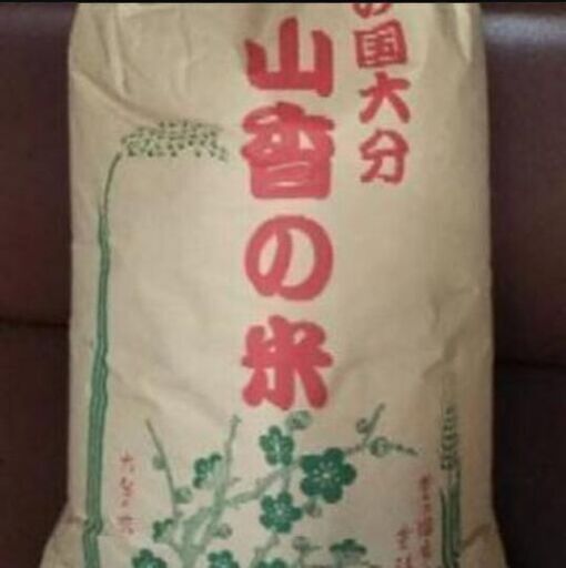 新米　山香米　お米30㎏
