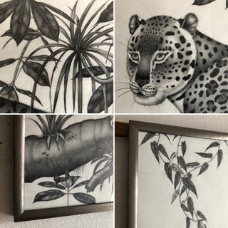 黒鉛筆手描き、熱帯の豹、有田匡、フレーム、原画、絵画、モノクロ