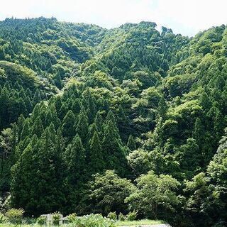 【成約済】山林物件　和歌山県伊都郡かつらぎ町