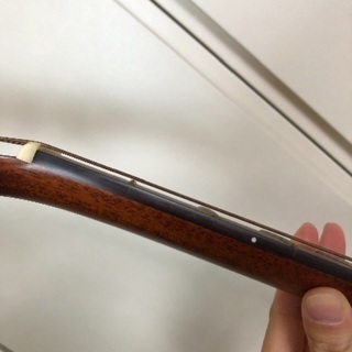 美品】Aria Dreadnought AD-35N × RITTER ケース 【公式通販】
