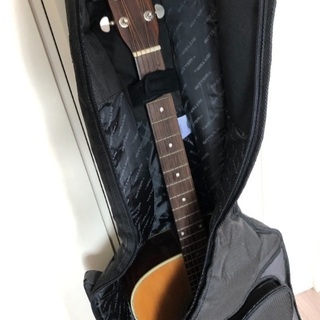 美品】Aria Dreadnought AD-35N × RITTER ケース 【公式通販】
