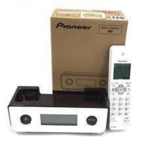 Top【選抜株】多肉植物　20710 サマー　ビューティー16個　鉢無し/脱土 Top【選抜株】多肉植物 20710 サマー ビューティー16個 鉢無し/脱土