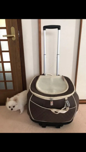 ペット キャリー、リュック、カート