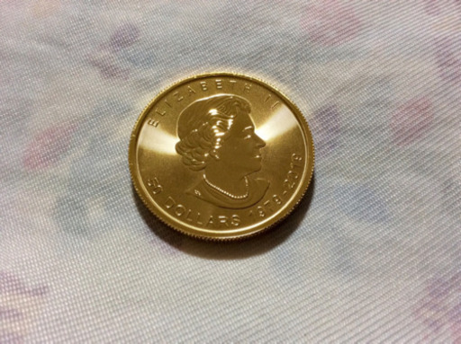 メイプル金貨2019 カナダ メイプルリーフ40周年記念金貨 1オンス