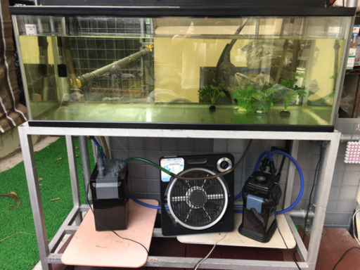 120水槽