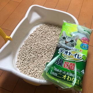 子猫用バイオトイレ