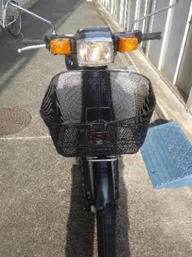 スズキバーディー、2サイクル 【公式通販】
