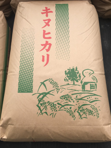 値下げ中！採れたて！キヌヒカリ！１俵（60kg）令和４年　新米（玄米）
