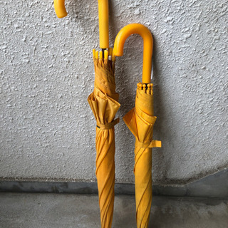 黄色い傘 50cm  55cm