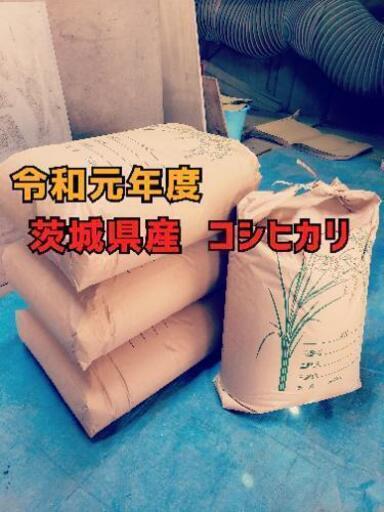 【新米】茨城県産 コシヒカリ 30kg【令和元年度】