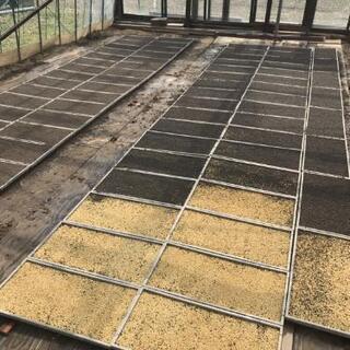 茨城県産コシヒカリ 30kg 古古米 令和4年産 ② 令和4年 茨城県産コシヒカリ 古米 玄米30キロ