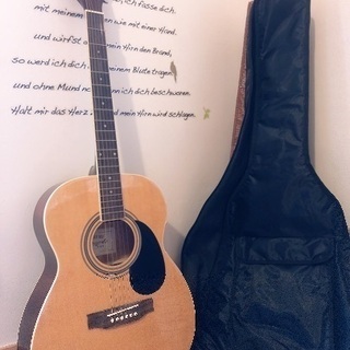 HONEY BEE F-15 N アコースティックギター 整備済み 美品