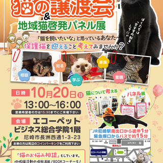 尼崎市どうぶつ愛護推進員◇ねこの譲渡会&地域猫啓発パネル展(=^...