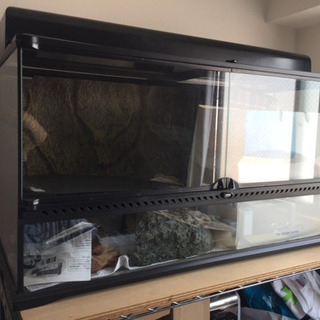 EXO TERRA 爬虫類 飼育水槽セット 90×45×45 EXO TERRA 爬虫類 飼育水槽セット 90×45×45 【公式通販】