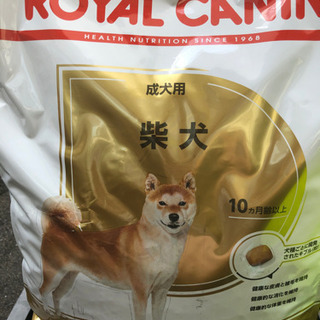 ロイヤルカナン 成犬 柴犬用8kg
