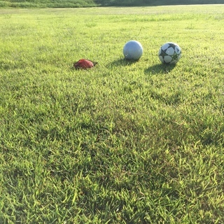 【★学生から大人まで★1時間半の楽しく刺激的なトレーニングで飛躍...