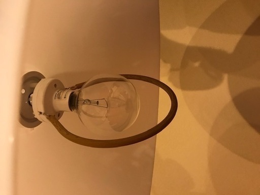 ナチュラルテイストな照明器具（電球付き）