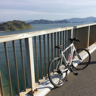 クロスバイク スペシャライズド エリート 2013年