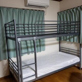 掛け軸2本 有馬頼底作「月落不離天」、野村一生作 扇面 紅白梅図