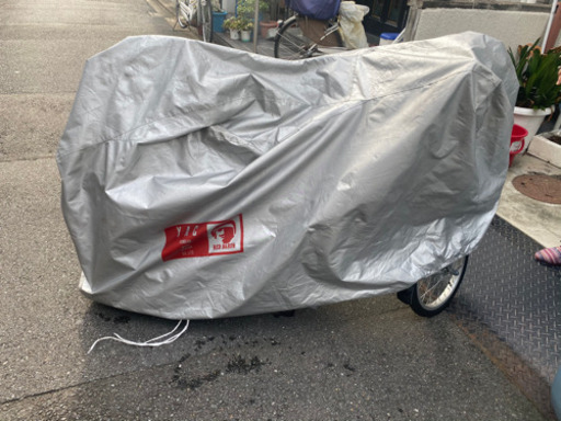 Canary[カナリア]三輪車 メタリックシルバー