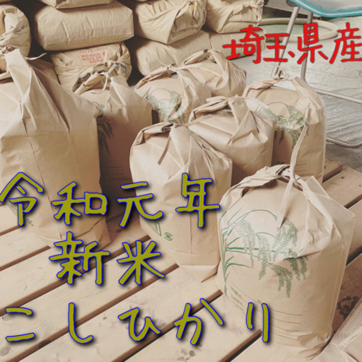 令和元年 新米 こしひかり 30キロ 埼玉県産