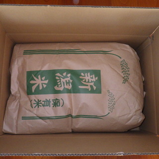 新米・令和元年産新潟コシヒカリ 白米5kg×2個☆農家直送☆色彩