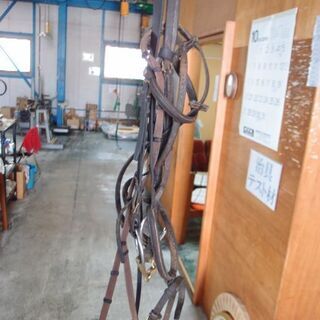 馬場馬術用の鞍になります!!