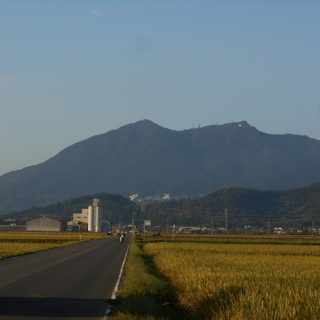 つくば市　北条米2キロ　さしあげます。