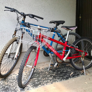 22インチ ルイガノ子ども用自転車 （ルイガノ 22インチ 子供用