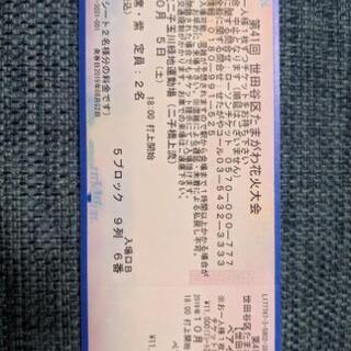 第41回世田谷区たまがわ花火大会のチケット/2019年10月5日